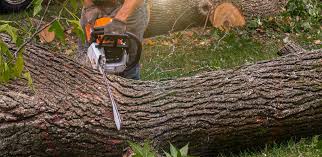 Best Artificial Turf Installation  in Gig Harbor, WA