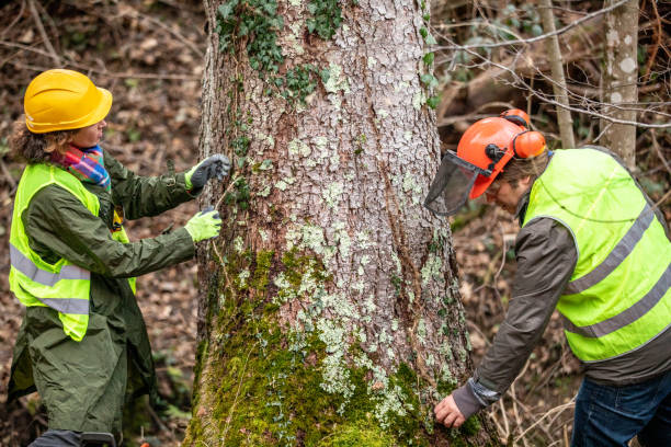 Best Commercial Tree Services  in Gig Harbor, WA