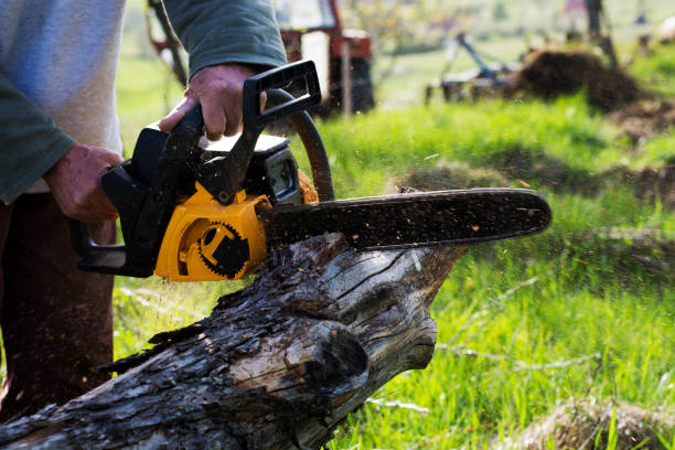 Best Leaf Removal  in Gig Harbor, WA